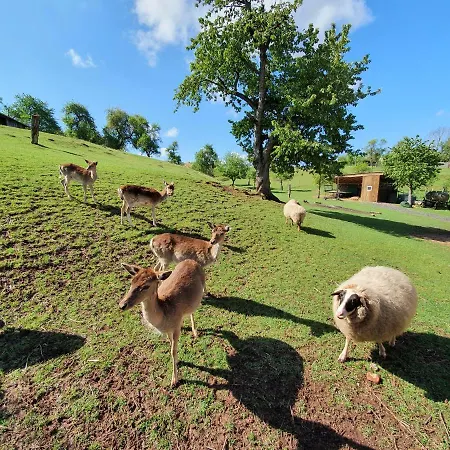 Budget Biebertal Am Milseburgradweg Szálloda *