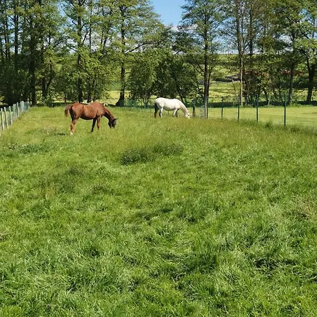 Budget Biebertal Am Milseburgradweg