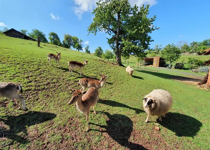 Budget Biebertal Am Milseburgradweg Szálloda *