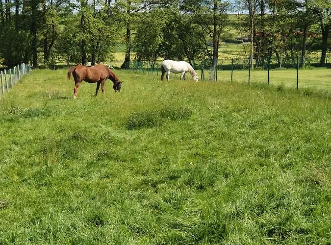 Budget Biebertal Am Milseburgradweg