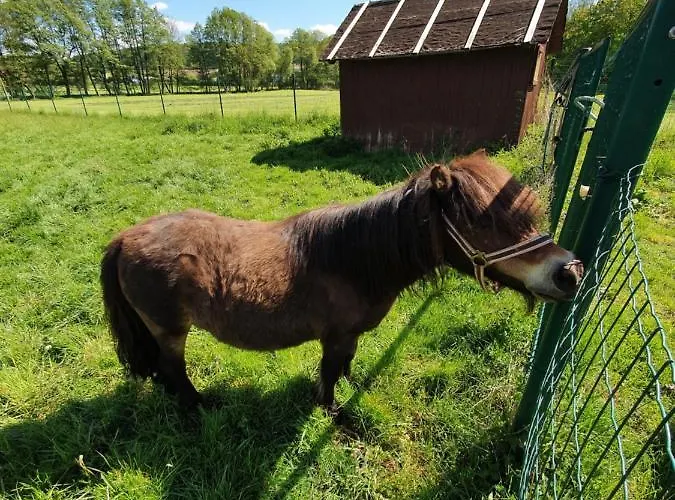 Budget Biebertal Am Milseburgradweg